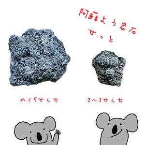 悩悩Ih̗n y₭5Z` 8kg 2`3Z` 7kgz K[fjO v^[ GNXeA  |  x_ ԏ ƒ؉ hV[g  h CAEg 嗝 bN