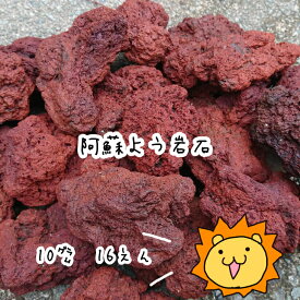 阿蘇溶岩石(赤系)［5～10センチ］『量り売り』ペット/水槽/水草/花壇/漁礁/造園/オリジナルガーデン/レイアウト溶岩石 ロックガーデン 岩盤浴 スタイリッシュ 庭 庭石 メダカ 　05P28Sep16