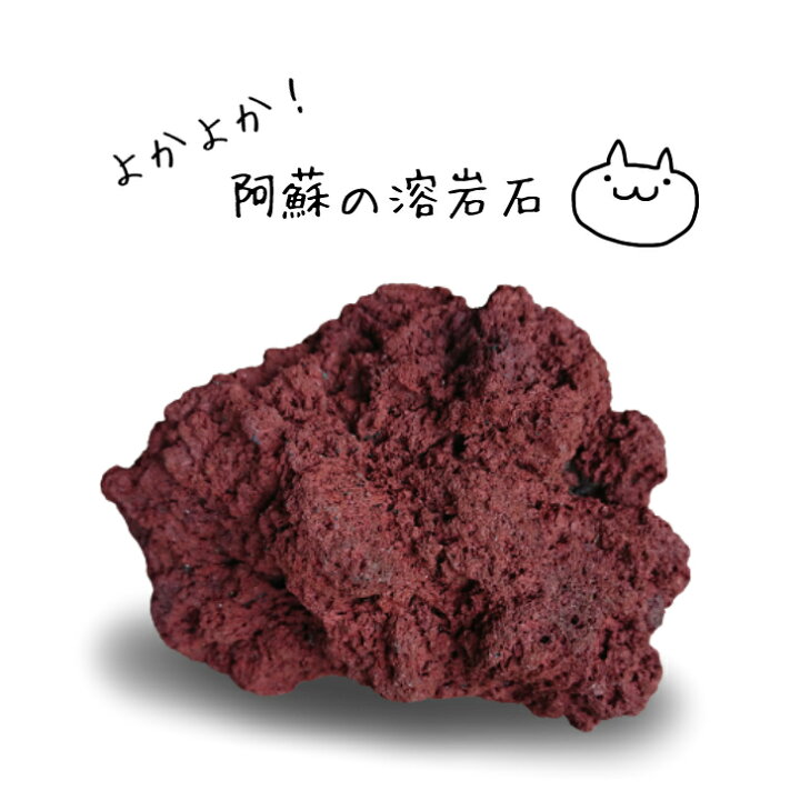 楽天市場】よかよか！阿蘇の溶岩石(レッド)［10〜20センチ 
