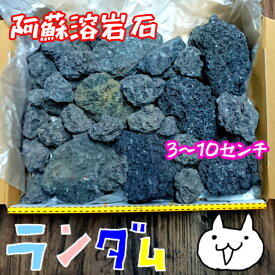 熊本阿蘇溶岩石［3〜10センチ］ガーデニング / 水槽 / 水草 / 花壇 / 漁礁 / 造園 / オリジナルガーデン / レイアウト溶岩石アクアリウム / テラリウム / 石材 / ロックガーデン