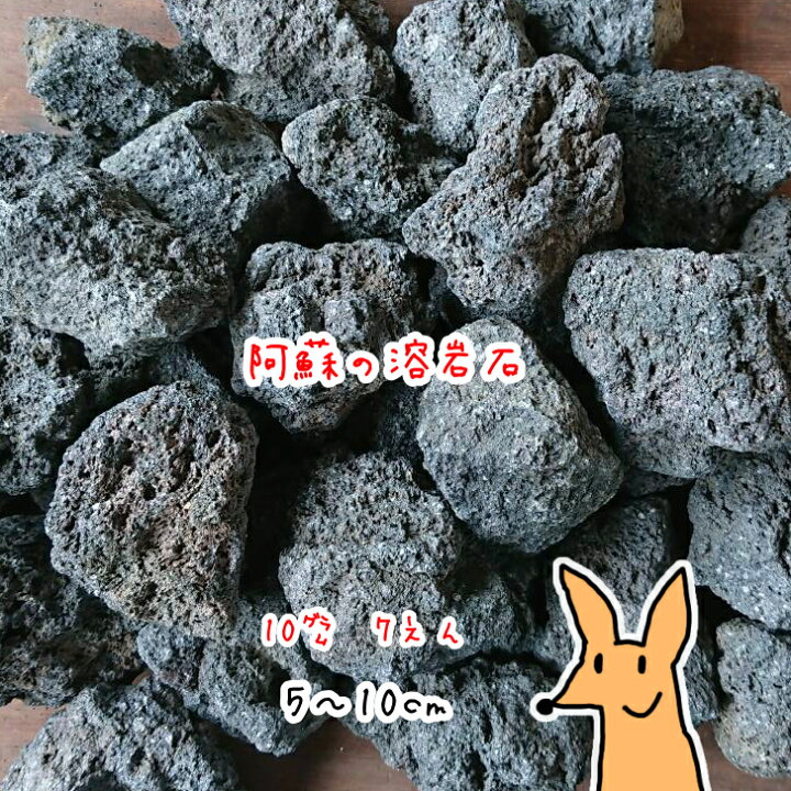 楽天市場】溶岩石 阿蘇産［5〜10センチ］【10グラム7円】『量り売り 