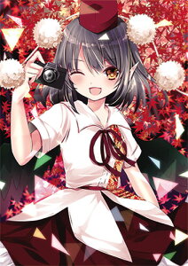 ProjectNAt@C Ȃ߂hNAt@C ˖20-10()@-KID- NAt@C