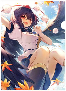 ProjectNAt@C Ȃ߂hNAt@C ˖(sekisei)202311(1/{)@-KID- NAt@C