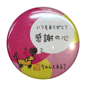 oXPbg{[iJobWu(肪Ƃ)voXP ObY LOi cLO    v[g v`Mtg(yVqɂoׁj