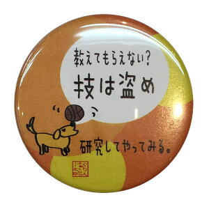 oXPbg{[iJobWuZ͓߁voXP ObY LOi cLO    v[g v`MtgiyVqɂoׁj