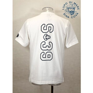 ���V�i�R�o�y*001*�z��25��OFF�ESINA COVA & Guest-One �R���{T�V���c�@����i���t�Ĕ���T�V���c��M�EL�ELL�T�C�Y���z���C�g-kg522�Ekg523�Ekg524