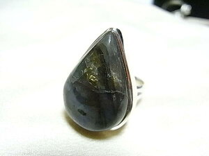 ӂyAVFCvuhCgVo[O#11.5 VR΃WG[̂X  O v[gɂ߁ nbs[GCg