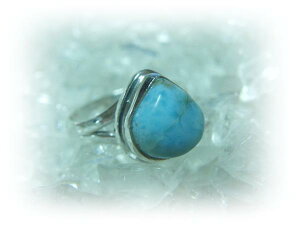 }VFCv}[̃Vo[925O#18 VR΃WG[̂X O  Vo[925 v[gɂ߁ nbs[GCg