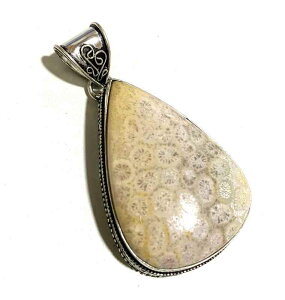 tHVR[@Vo[v[g@y_ggbv 10008310