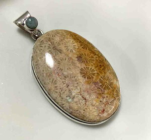 tHVR[@Vo[v[g@y_ggbv 10008330