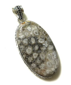 ȉ~tHVR[̃Vo[v[gy_ggbv