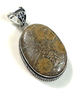 ȉ~tHVR[̃Vo[v[gy_ggbv