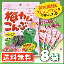 【在庫あり 送料無料】 上田昆布 梅カムこんぶ しそ梅味 8袋セット【ダイエット食品 おやつ おつまみ おしゃぶりこんぶ 昆布 食物繊維 カルシウム 駄菓子 梅...