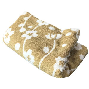 y󂠂z YoX^I ECic l x[Wi|ܓj IA-3025ypCD { q l lC    Hߗ׈Aiz[zkas]