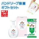 【在庫あり 引越し 挨拶 ギフト 粗品】ライオン キレイキレイ ギフトセット LBB-A【ハンドソープ ギフト 引越し 挨拶 …