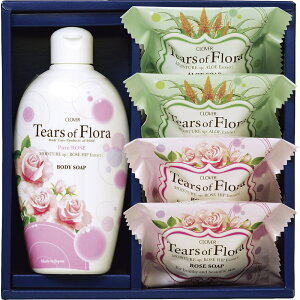 eBA[YIut[ TFR-10 yZbg i 蕨 pi Ki Ō` t Ԃ    F z[tr]