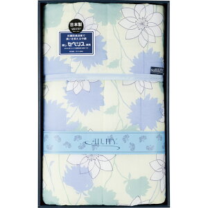 ACeB RۖhLiZxXj킽 Lg|zc u[ A2461yyMt_̂zyyMt_Iz[tr]