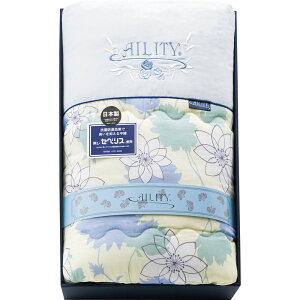 ACeB RۖhLiZxXj킽 |zc u[ A2411yyMt_̂zyyMt_Iz[tr]