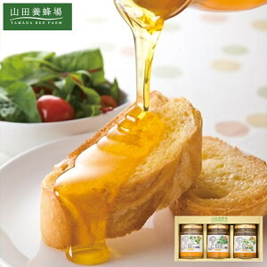 Rc{I YI3{Zbg S3-BHK[tr]