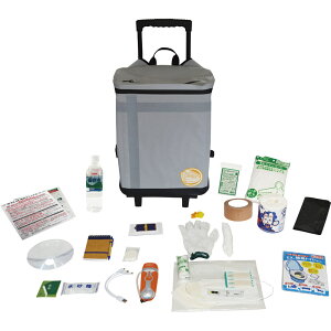 �h�Ѓo�b�OTANAKA�h�Ўm�u���U�[�Y���f�� �v���X�^�C�� �v���~�A�� �V���o�[�O���[ EX48CXWSPG-Z[tr]