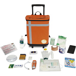 �h�Ѓo�b�OTANAKA�h�Ўm�u���U�[�Y���f�� �v���X�^�C�� �v���~�A�� �I�����W EX48CXWSP-Z[tr]