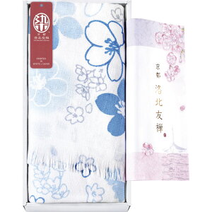 s kFT ЂƂЂƂ߂̃}`^I O1P F KYT28300-BL[tr]