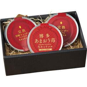 ���܂���䕁��{�芮�n�}���S�[ ���L���������l���� 3708-35[ty]