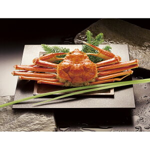 {C킢Ɏp 450g×1 ZHB451N[ty]