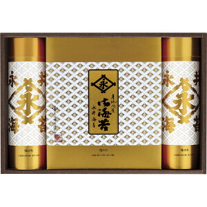 iC Ă̂Êl GT-30R[tr]