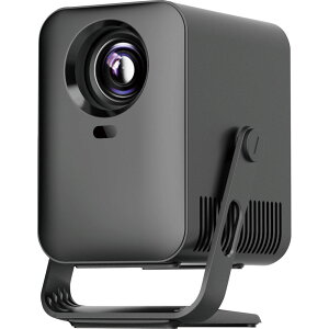 ���}�X �~�jLCD�v���W�F�N�^�[ RA-PB600