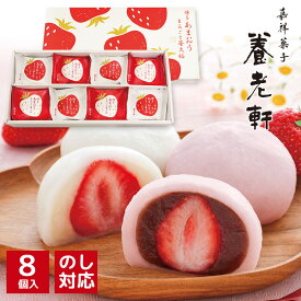 京都 養老軒 博多あまおう　まるごと苺大福 YF-MB