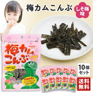 [10܃Zbg] cz ~J ~ |Cg H@ JVE ʉَq [zk]