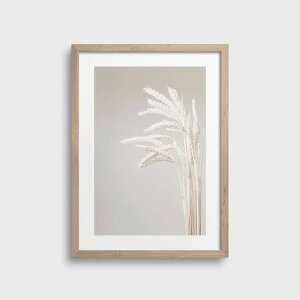 NOUROM | BEIGE BARLEY #1 | A3 A[gvg/|X^[ k CeA 