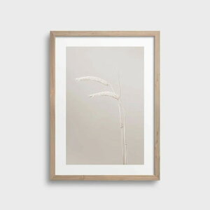 NOUROM | BEIGE BARLEY #2 | A3 A[gvg/|X^[ k CeA 