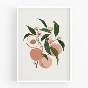 MICUSH | HARVEST - PEACHES | A[gvg/|X^[ (30x40cm) k CeA 