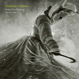 武田吉晴 (YOSHIHARU TAKEDA) / BEFORE THE BLESSING (LP) レコード アナログ