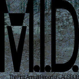 LAUSBUB / M.I.D. THE FIRST ANNUAL REPORT OF LAUSBUB (12") レコード アナログ ラウスバブ