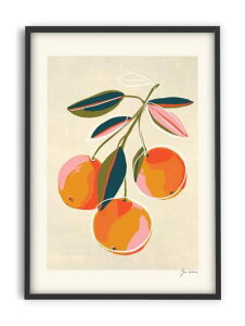 ZOE | Oranges | A3 A[gvg/|X^[ | k Vv A[g CeA 