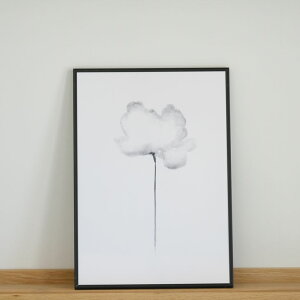 COLOR WATERCOLOR | White Poppy #2 | A3 A[gvg/|X^[ k Vv 