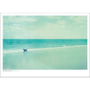 DAN ISAAC WALLIN | PACIFICO 270 | tHgOtB / |X^[ (50x70cm) ʐ^ tHg A[g tHgvg  Ǌ|  C pl CeA G rO Lb`  Q Mtg a