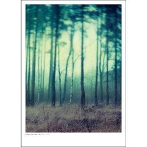 DAN ISAAC WALLIN | FAIRYLAND | tHgOtB/|X^[ (50x70cm) k |X^[ XEF[f ʐ^ A[g A[g|X^[ k |X^[ CeA IV  ǎ X X O[ ʐ^ 