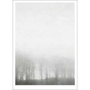 Ingrey Studio | Morning Fog | 30x40cm �A�[�g�v�����g/�A�[�g�|�X�^�[ �k�� �f���}�[�N �ʐ^ ���i
