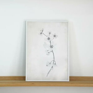COLOR WATERCOLOR | Cherry Blossom White Art Print #4 | A3 A[gvg/|X^[ k Vv 