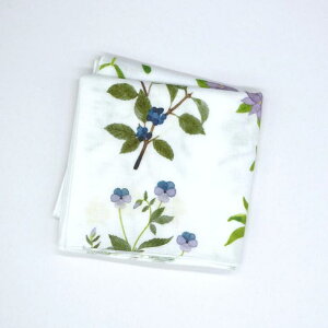 KAYO AOYAMA | plants | nJ`NX k eLX^C  K[[n 킢 Mtg v[g