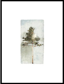 JORGEN HANSSON | The Pine no.2 | アートプリント/アートポスター (30x40cm) 送料無料 北欧 スウェーデン パイン 松