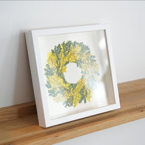 y30x30cmzA.P.J. | A[g{bNXt[ 30pTCY 6FWJ | ؐz | 30x30cm (300x300mm)   tBMABOX t[AWg ` i` Mtg av[g ʐ^ 