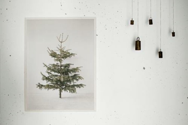 楽天市場 Bastisrike Tree Poster ポスター 60x80cm クリスマス リビング アート もみの木 ツリー おすすめ おしゃれ かっこいい 人気 インテリア 北欧 アート スタイリッシュ クリスマス ポスター ギフト 送料無料 北欧雑貨と音楽 Hafen ハーフェン