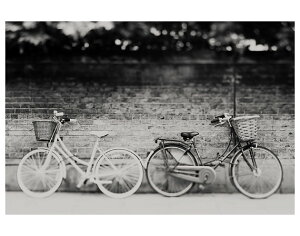�ySALE �Z�[���zSWEET DREAMS & HONEY | BICYCLE | �t�H�g�O���t�B/�|�X�^�[