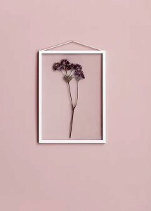 MOEBE | A3 FRAME (white) | A3 A~t[ [x k f}[N CeA |X^[t[  zCg A3 |X^[t[  t[ |X^[ A[gt[ k kfUC