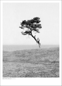 DAN ISAAC WALLIN | HAVANG BW | �t�H�g�O���t�B/�|�X�^�[ (50x70cm)